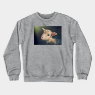 Lamb portrait Crewneck Sweatshirt